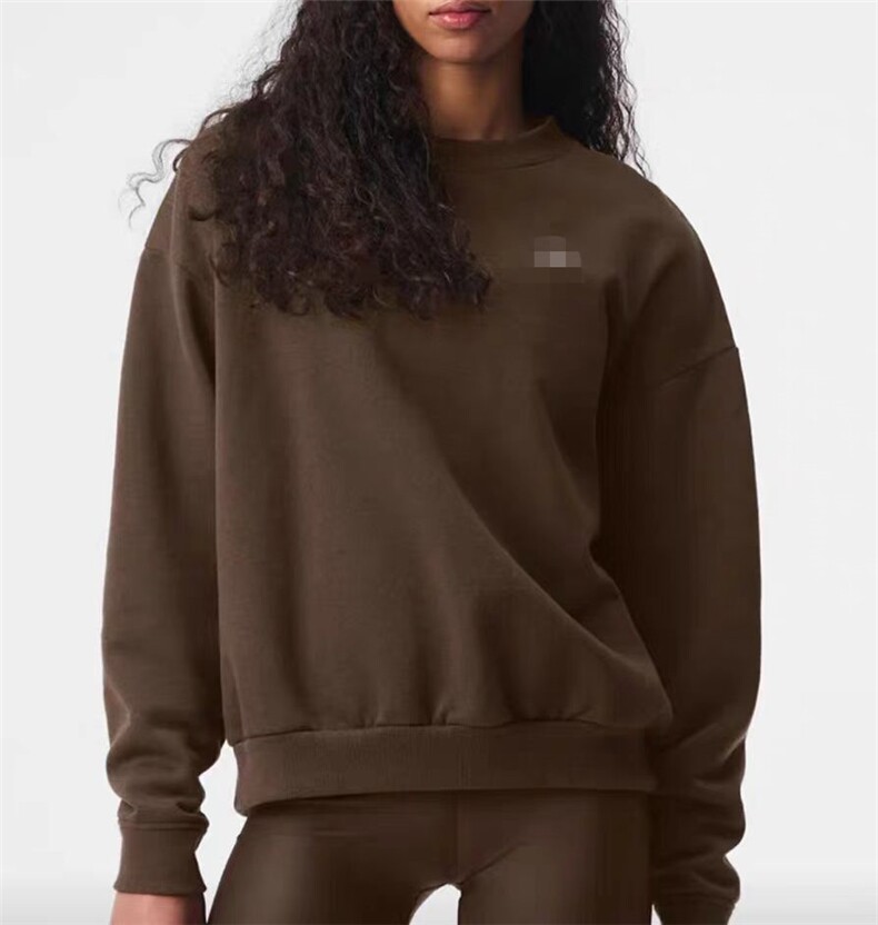 2025年秋季时尚百搭通勤简约休闲卫衣，女装卫衣/绒衫，湘姗