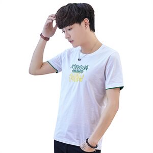 小宝6117男士短袖夏季圆领t恤韩版夏天纯棉半袖男装潮流帅气图片
