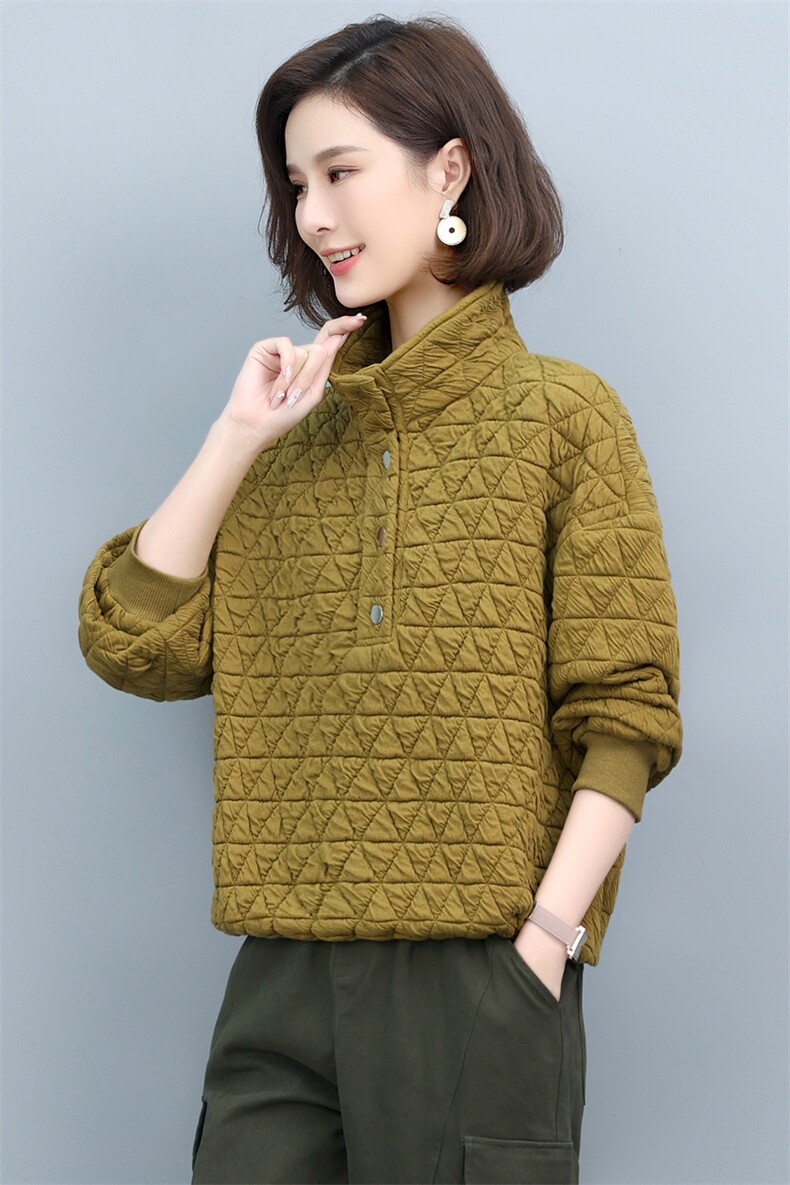2022年秋季新款套头立领卫衣女长袖韩版加厚保暖上衣短外套女百搭,女装卫衣/绒衫,简韵佳