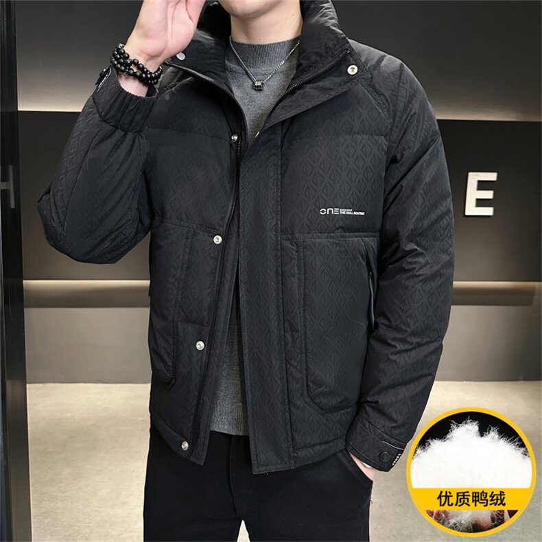 2025冬季DS-A225冬季新款男士立领时尚潮流白鸭绒羽绒服夹克,男装夹克,电商A225