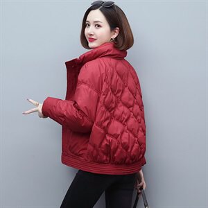 时尚显瘦短款盘扣保暖棉服 冬季新款女装棉衣外套图片