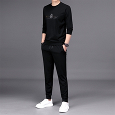 男士休闲运动套装2023新款春季中青年男装圆领百搭潮流时尚两件套，男装休闲套装，电商B212（原钱塘6029）