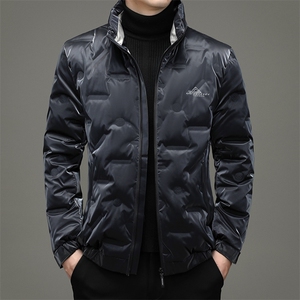 90%白鸭绒中年男士休闲立领羽绒服保暖羽绒开衫潮流男ZG2942-P195图片
