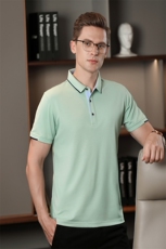 夏季新款男士翻领短袖t恤中年有领男装上衣服休闲POLO衫，男装T恤，电商B212（原钱塘6029）