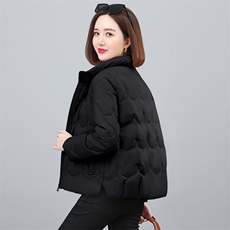 2023年冬季气质立领时尚休闲羽绒服，女装羽绒服，依恋蒂丝