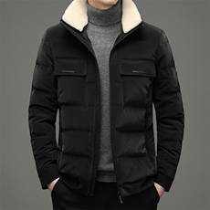 冬季新款羽绒服立领常规中青年男装商务休闲夹克外套HB92166-P295，男装羽绒服，电商B212（原钱塘6029）