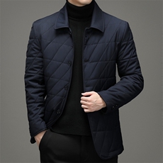 21秋冬新款棉衣男翻领中老年男士商务棉服休闲棉袄外套HB238-P185，男装棉衣，电商B212（原钱塘6029）