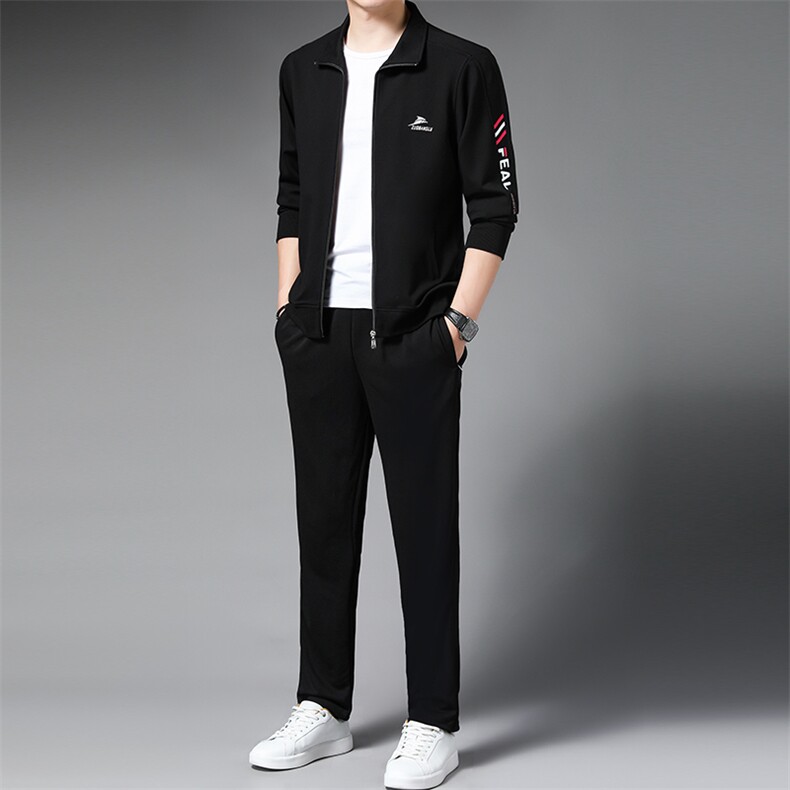 AL2805钱塘2020-3春秋新款运动休闲时尚中青年男士套装P150图片