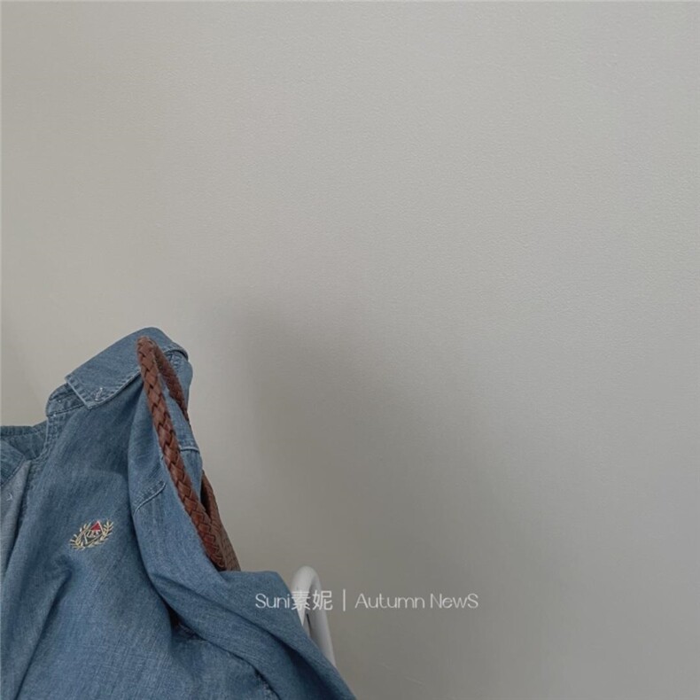 刺绣衬衫，女装衬衫，素妮