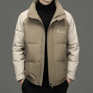 CAH9906钱塘2020-2中年男士时尚休闲百搭厚款冬季羽绒服P240图片