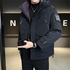 M-3XL 24605-P215 298 标50绒 连帽冲锋衣羽绒服男图片