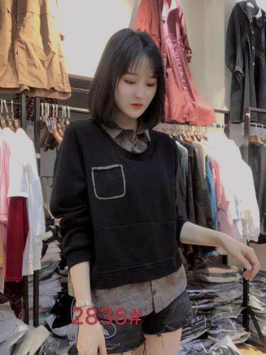 红嘴鹰 HZHZY60104085