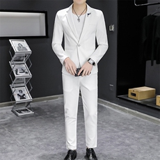 T832-P120秋装时尚男士纯色西服两件套装职业装西服，男装西服，星座507A（原星座306B-2）