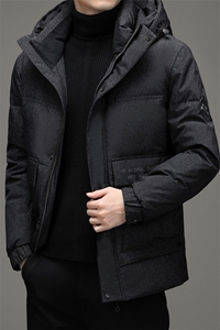 新款21冬季新款90%白鸭绒羽绒服男士休闲纯色连帽外套ZG2933-P295图片