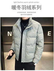DS-A225-8707新标三防面料男士立领免洗潮流时尚休闲鸭绒羽绒服图片