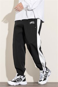 2021秋季新款白墙日系大码男印花条纹运动九分裤休闲裤K2078-P30图片