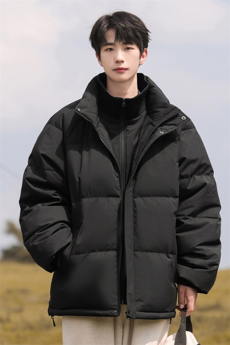 新标白鸭绒立领假两件羽绒服时尚休闲简约百搭外套BL0620-P248,男装羽绒服,电商B306