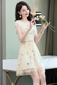 2025年夏季小个子碎花欧根纱连衣裙女装气质显瘦高端绣花蕾丝裙子图片
