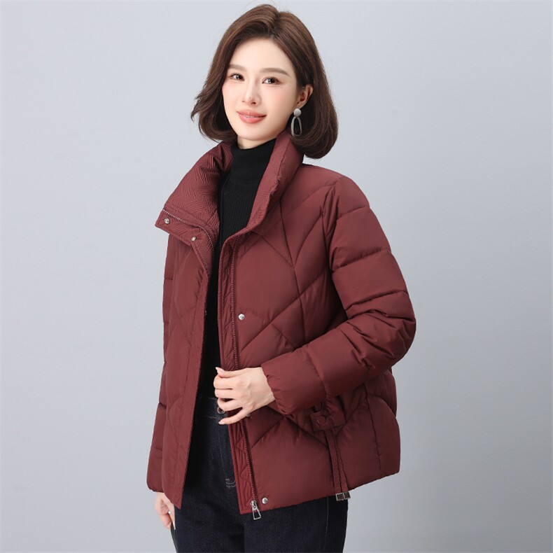 2024年冬季新款时尚立领棉服休闲羽绒棉棉服,女装棉衣/棉服,依恋蒂丝