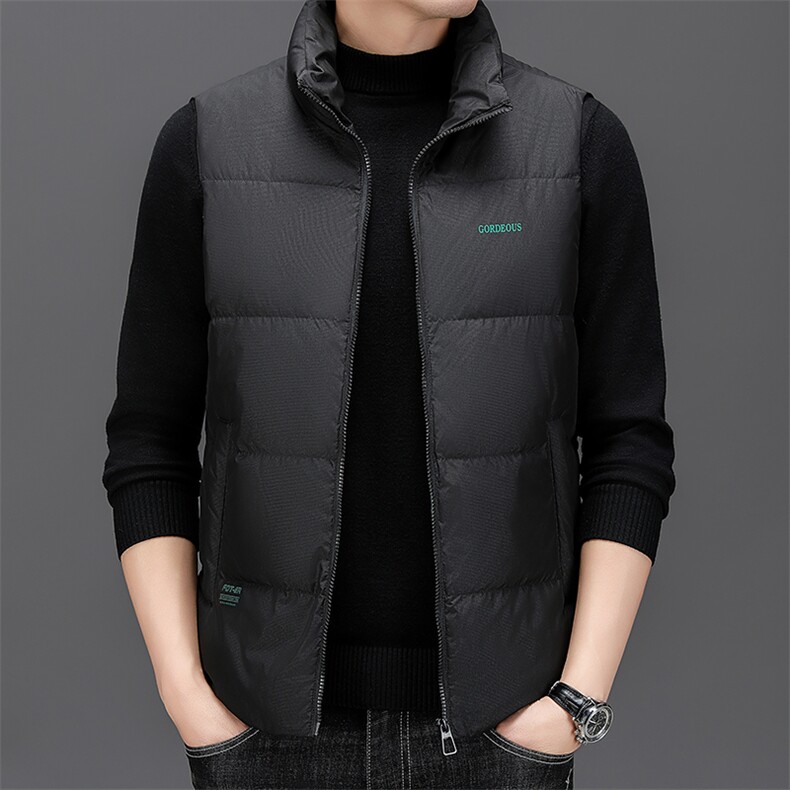 BZW2216钱塘2020-2百搭时尚休闲冬季厚款中年男士羽绒服马甲P155图片