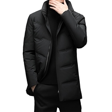 冬季90%白鸭羽绒服男立领中长款休闲保暖简约百搭羽绒ZG2910-P340，男装羽绒服，电商B212（原钱塘6029）
