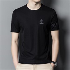2023夏季新款男士t恤短袖圆领夏装半袖上衣中年休闲宽松POLO衫，男装T恤，电商B212（原钱塘6029）