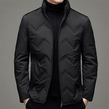 中年男士休闲立领羽绒服保暖防寒羽绒外套爸爸装上衣YYYR16-P255,男装羽绒服,电商B212（原钱塘6029）
