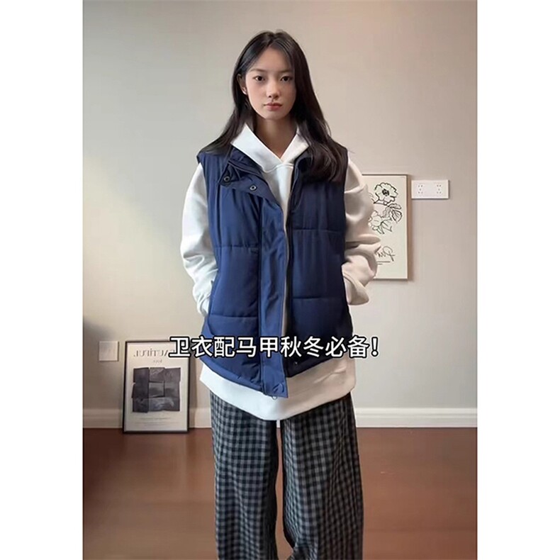 现货5W件冬季三防硬挺boxy短款立领棉衣马夹外套加厚马甲保暖棉服,男装棉衣,电商A486-1
