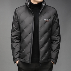 男士翻领羽绒服保暖90%白鸭绒商务休闲中青年男装外套GRW171-P230，男装羽绒服，电商B212（原钱塘6029）
