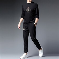 秋季男士休闲两件套圆领潮牌套装中年宽松免烫卫衣打底衫衣服秋装，男装休闲套装，电商B212（原钱塘6029）