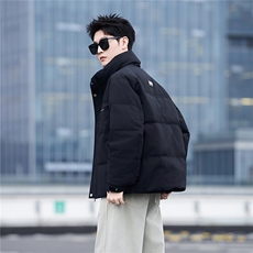 标50绒立领男士羽绒服冬季2025新款加厚冬装外套A313-3318-P205，男装羽绒服，电商A313