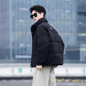 标50绒立领男士羽绒服冬季2025新款加厚冬装外套A313-3318-P205图片