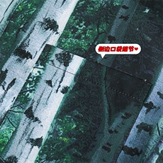 2023夏季新款面料：聚酯纤维CD813短袖-P35，男装衬衫，电商A082
