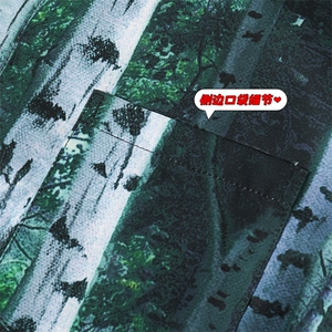 2023夏季新款 面料：聚酯纤维 CD813短袖-P35图片