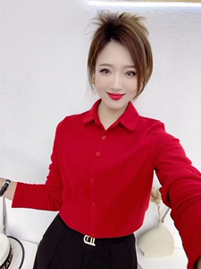 polo领长袖T恤女2024秋冬新款时尚纯色德绒打底衫韩版显瘦上衣潮图片