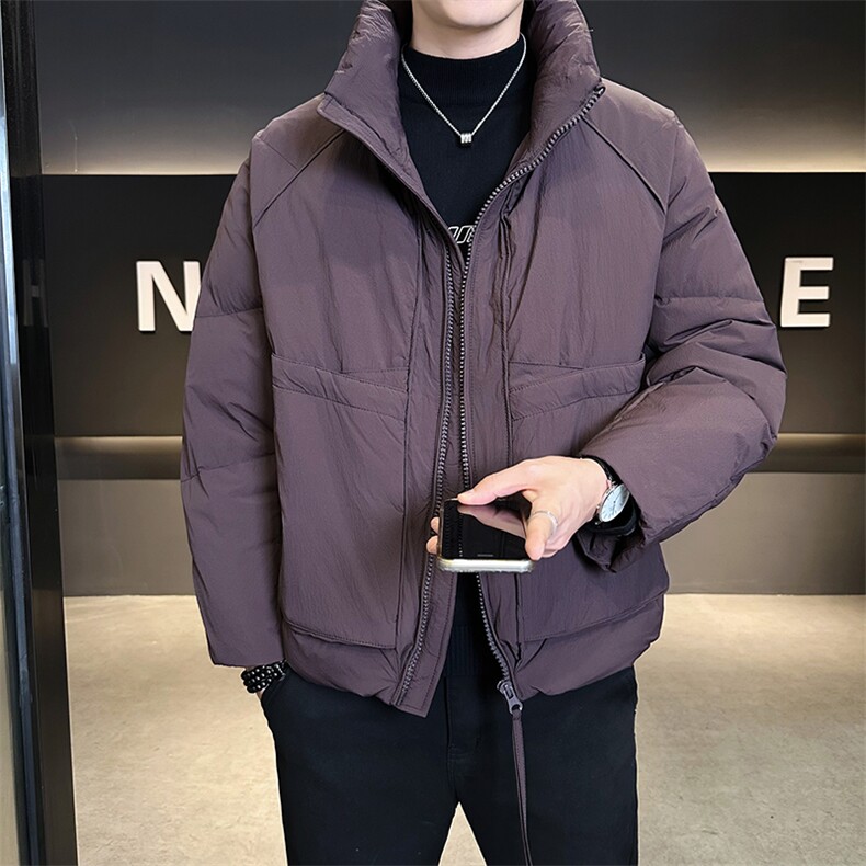 90新标2025设计款加厚保暖立领简约宽松羽绒服外套8821-P295,男装羽绒服,电商A413