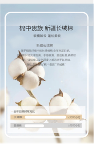 2024港风纯棉200克T恤圆领短袖亲子情侣装图片