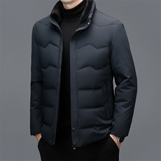 秋冬季男士绒羽绒服保暖休闲品质白鸭绒毛领立领外套休闲简约男装，男装羽绒服，钱塘6003（原4033）
