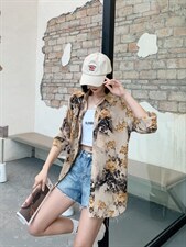 花衬衣，其它，红嘴鸥