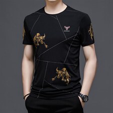2023新款冰丝短袖男夏季宽松Polo衫中年人衣服休闲商务夏装t恤，男装T恤，电商B212（原钱塘6029）