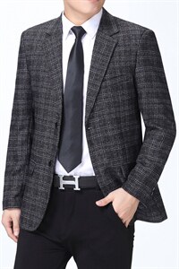 春秋季男士西服男装中年小西装外套高端单西休闲商务西装男图片
