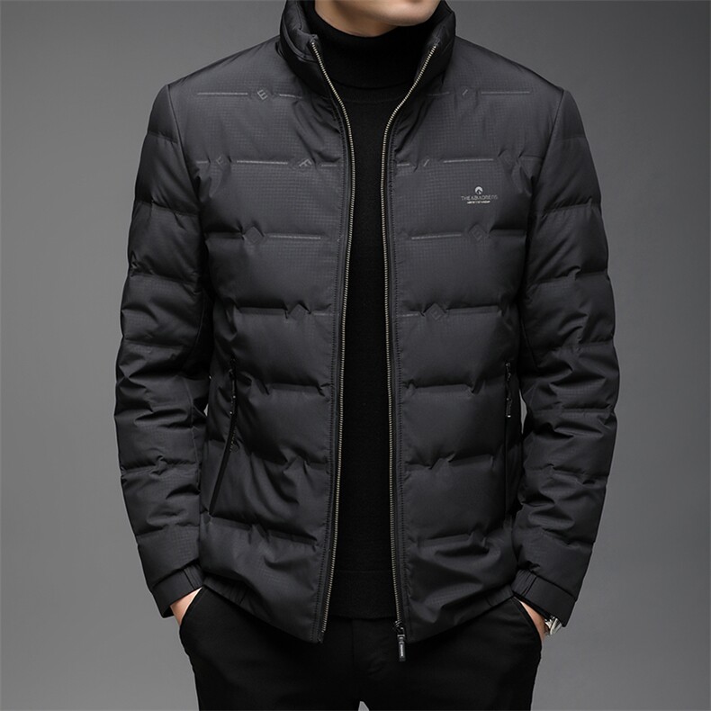 DW21120冬季男士羽绒服外套男装立领修身白鸭绒潮流帅气P229,男装羽绒服,电商B360