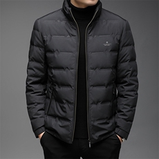 DW21120冬季男士羽绒服外套男装立领修身白鸭绒潮流帅气P229，男装羽绒服，电商B360