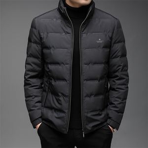 DW21120冬季男士羽绒服外套男装立领修身白鸭绒潮流帅气P229图片