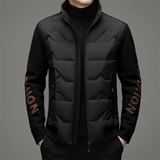 2023冬季新款男士立领加厚保暖羽绒服中年男装时尚休闲宽松外套，男装羽绒服，电商B212（原钱塘6029）