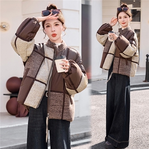 2025年冬季新款拼接短款休闲羽绒服图片