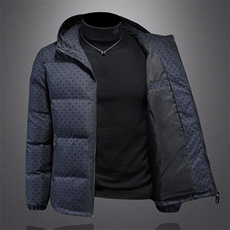 2025冬季新款男士连帽棉服6077-72699-P180假模，男装棉衣，钱塘6015（原D203）