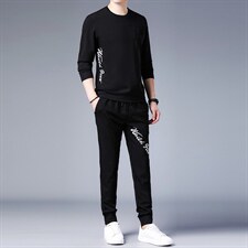男士休闲运动套装秋季圆领印花长袖t恤中年潮牌男装两件套，男装休闲套装，电商B212（原钱塘6029）