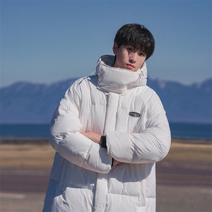 羽绒服男冬季2025新款防水短款羽绒衣防寒白鸭绒外套 P195 X328图片