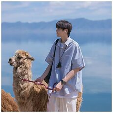 日系条纹衬衫男生夏季宽松大码薄款外套CityBoy潮牌休闲短袖衬衣，男装衬衫，星座1210-1